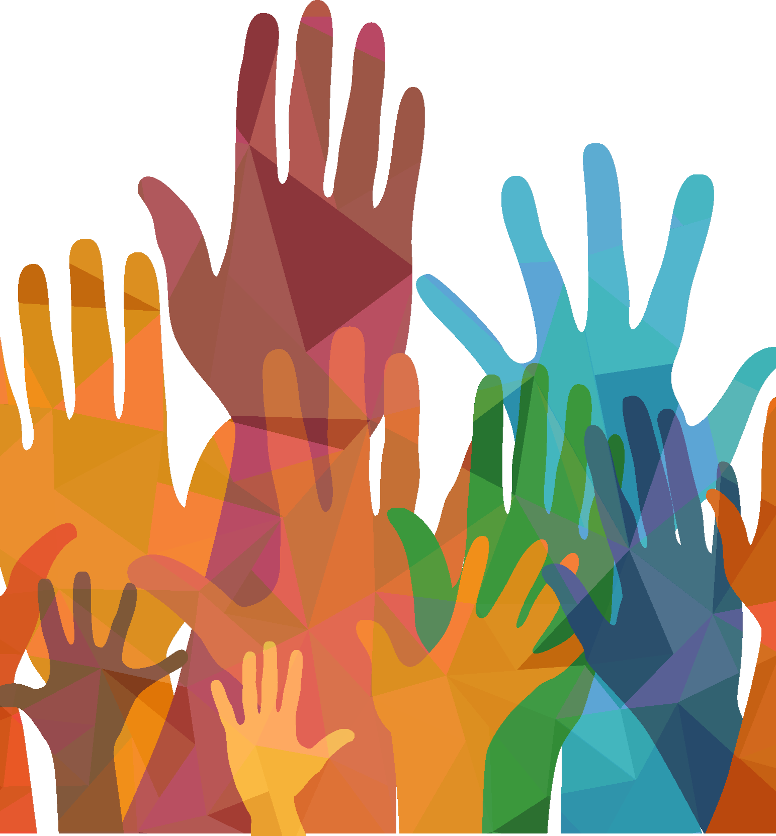 Elections étudiantes, une participation record au pôle Humanités !